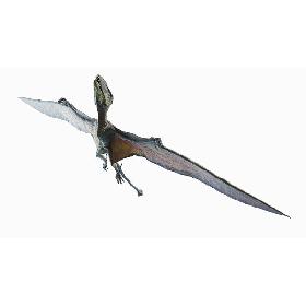 Dimorphodon Animated 3D model